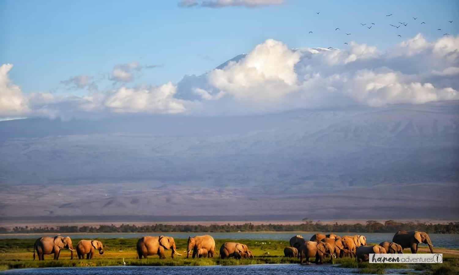 Taste of Kenya